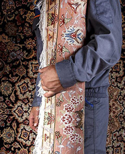 قالی لول در قالیشویی ساوه